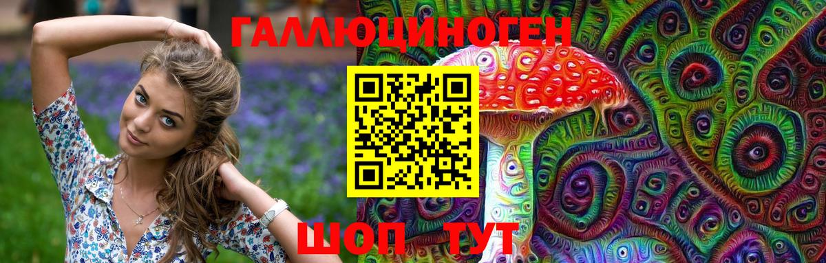 Галлюциногенные грибы Psilocybine cubensis Муравленко