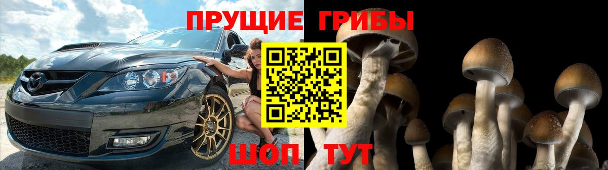 Псилоцибиновые грибы Psilocybe  Вход с VPN  Псилоцибиновые грибы Psilocybine cubensis  Муравленко 